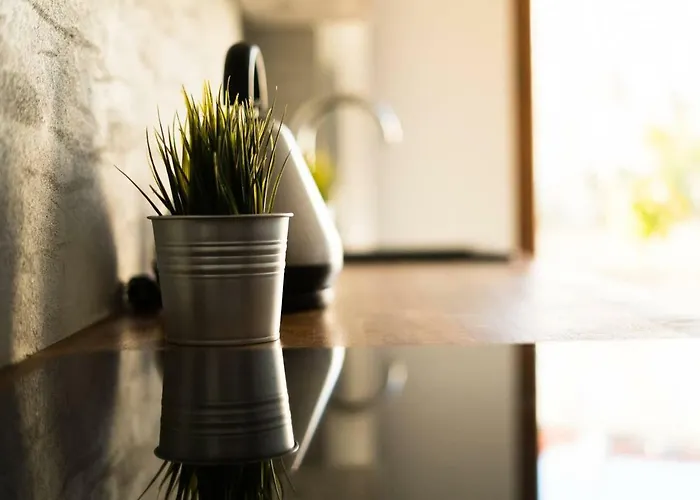 Big - City Center - 70m2 - Nice Design Διαμέρισμα Βρότσλαβ